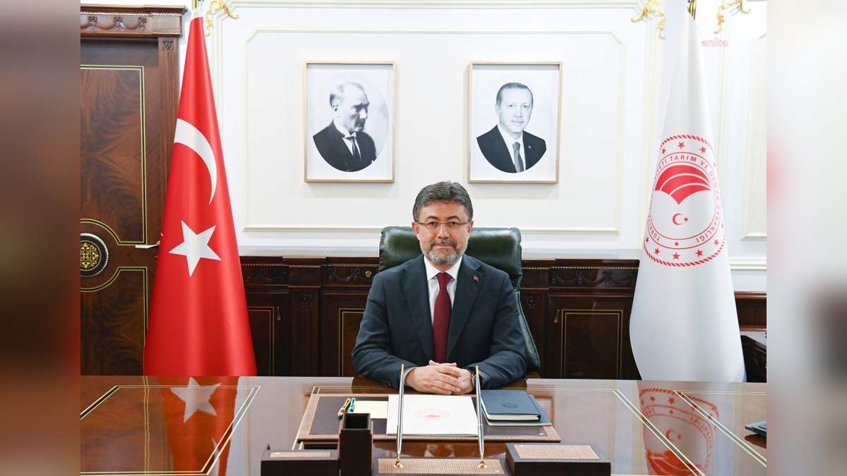 Antalya ve Manisa'daki orman yangınları kontrol altında