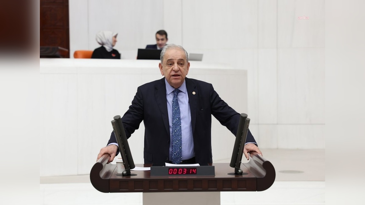 Nalbantoğlu'ndan TBMM'ye orman yangınları önergesi: 'Somut bulgu için ormanların yanması mı gerek'