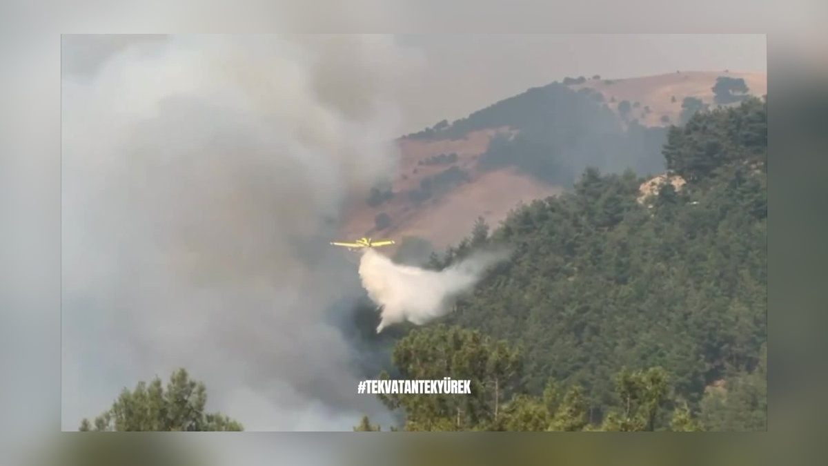 Yerlikaya'dan Bursa ve Karabük yangınlarına ilişkin açıklama