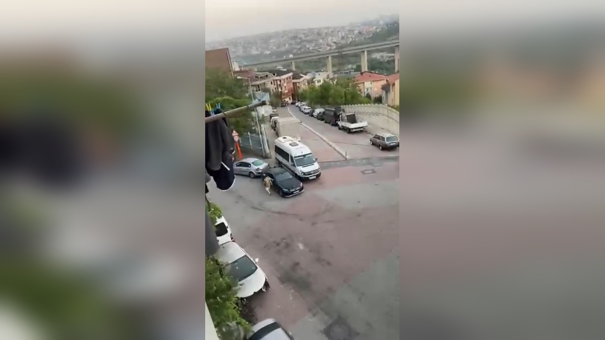 Kağıthane'de alkollü saldırı: Araçlara zarar veren şüpheli güvenlik görevlisine de saldırdı