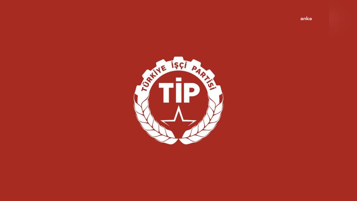 TİP'ten orman yangınlarına ilişkin rapor: 'Yeşil vatan' söylemiyle çelişen uygulamalar