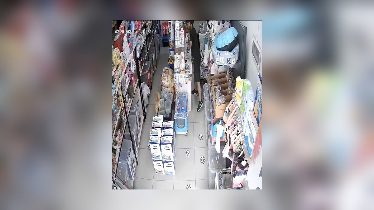 Esenyurt'ta cep telefonu hırsızlığı: güvenlik kamerası kaydı ortaya çıktı