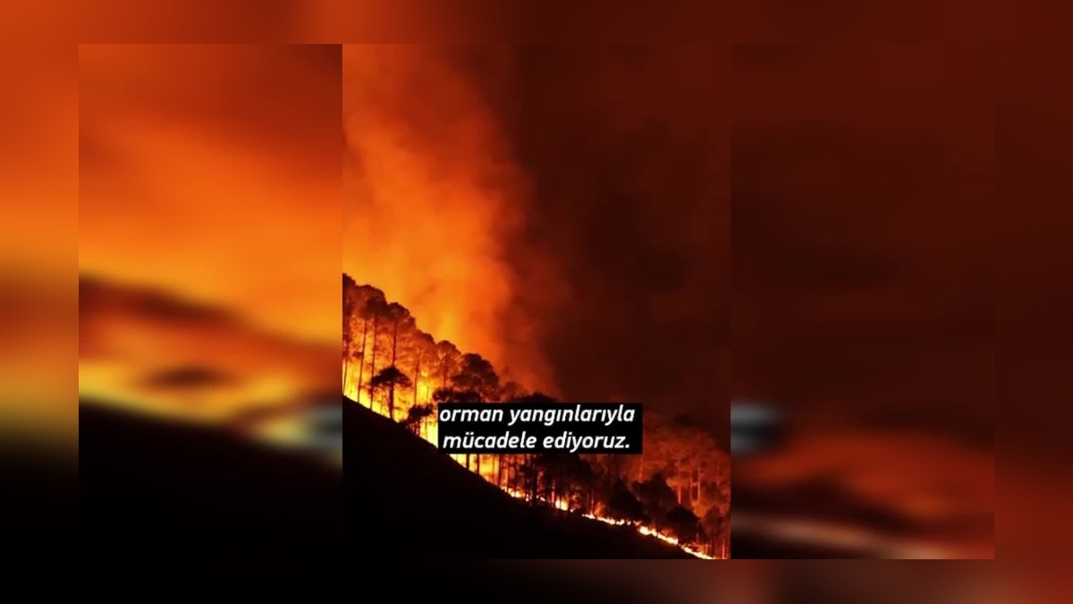 Saadet Partisi'nden fidan dikme seferberliği: Şehitler anılacak