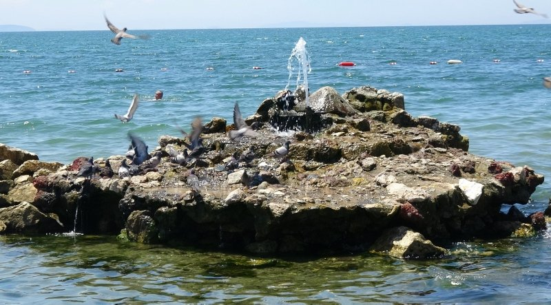 Akçay’da Deniz Ortasında Bir Mucize