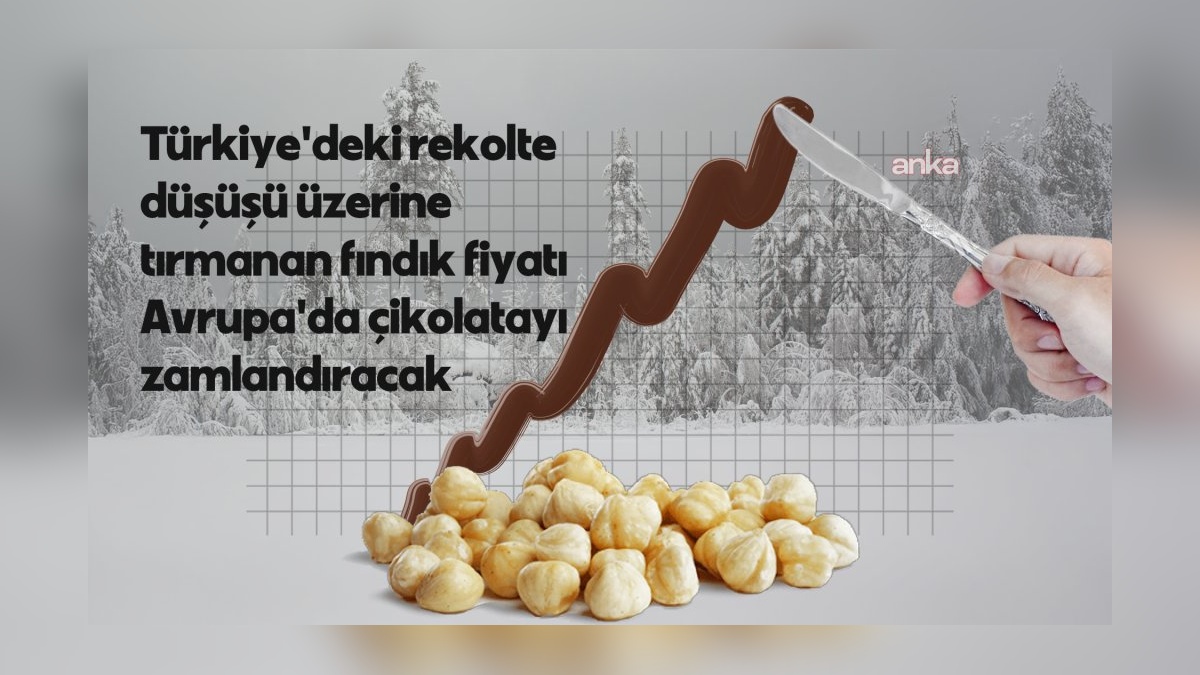 Fındık fiyatları Avrupa çikolata üreticilerini zorluyor