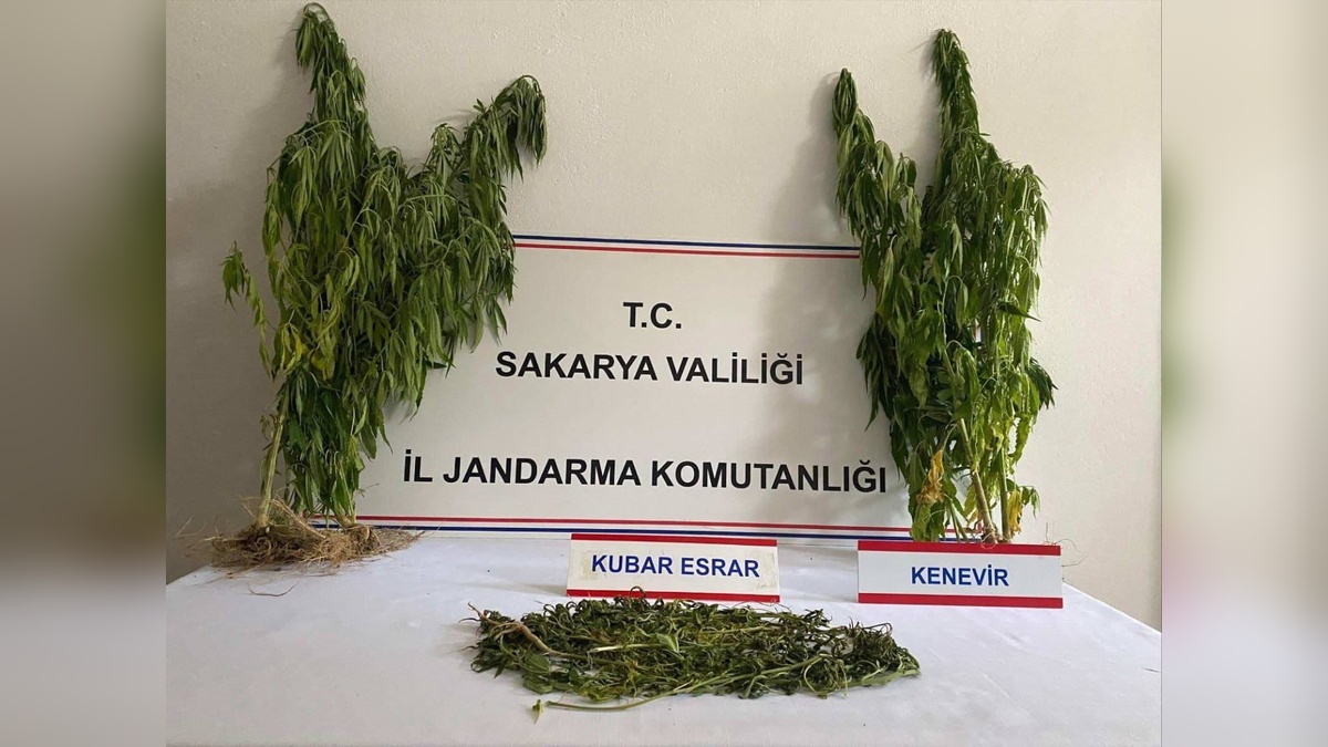 Sakarya'da uyuşturucu operasyonu: 1 tutuklama, çok sayıda uyuşturucu ele geçirildi