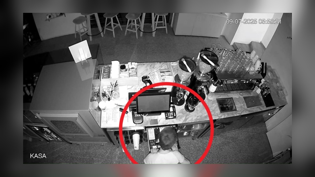 Diyarbakır'da 'Fren' operasyonu: 11 hırsızlık şüphelisi tutuklandı