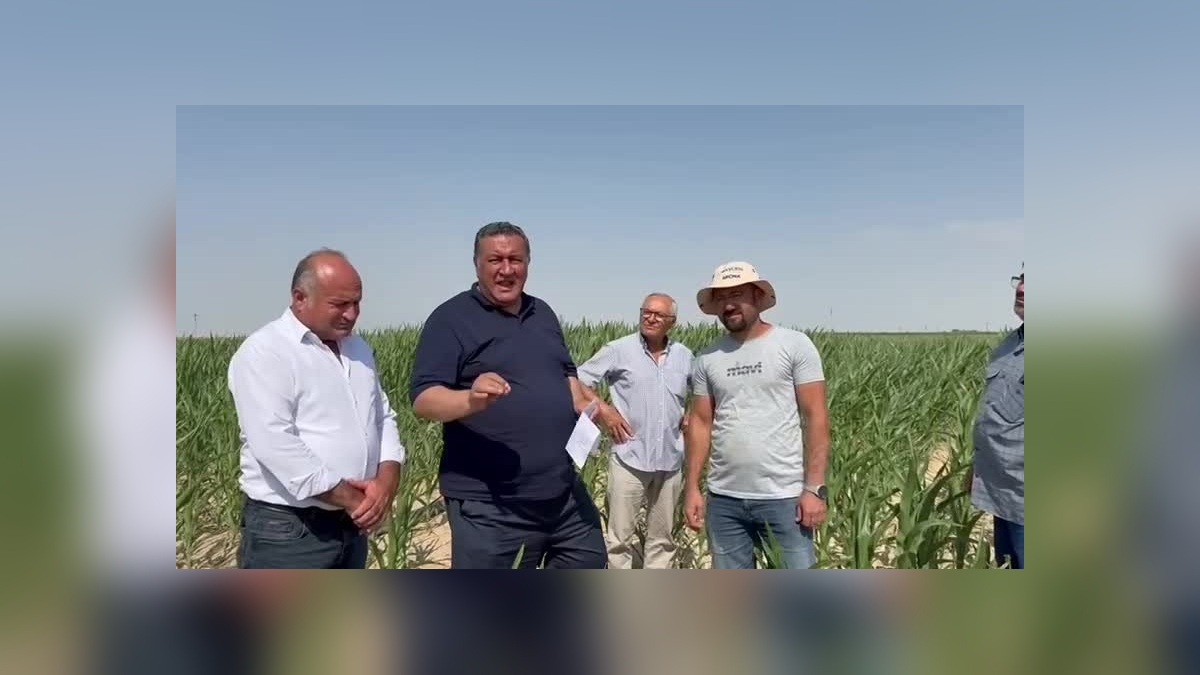 Niğde Milletvekili Gürer: 649 Milyon Dolarlık Mısır İthalatı, Yanlış Tarım Politikalarının Sonucu