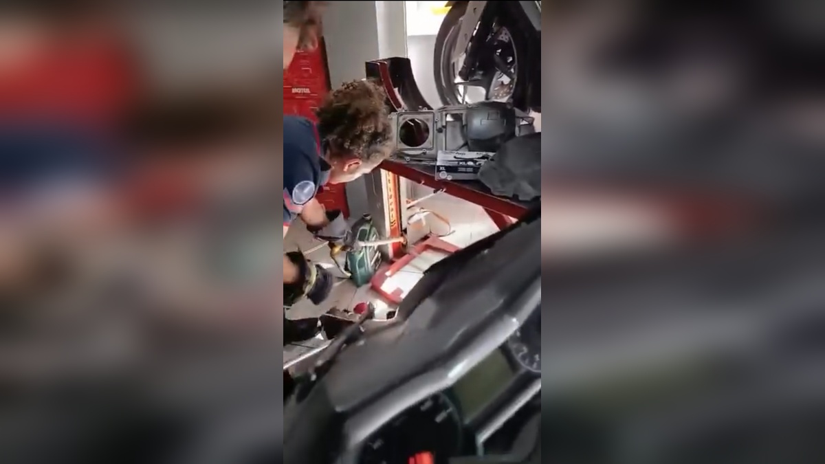 Kağıthane'de iş yerine giren yılan itfaiye tarafından yakalandı