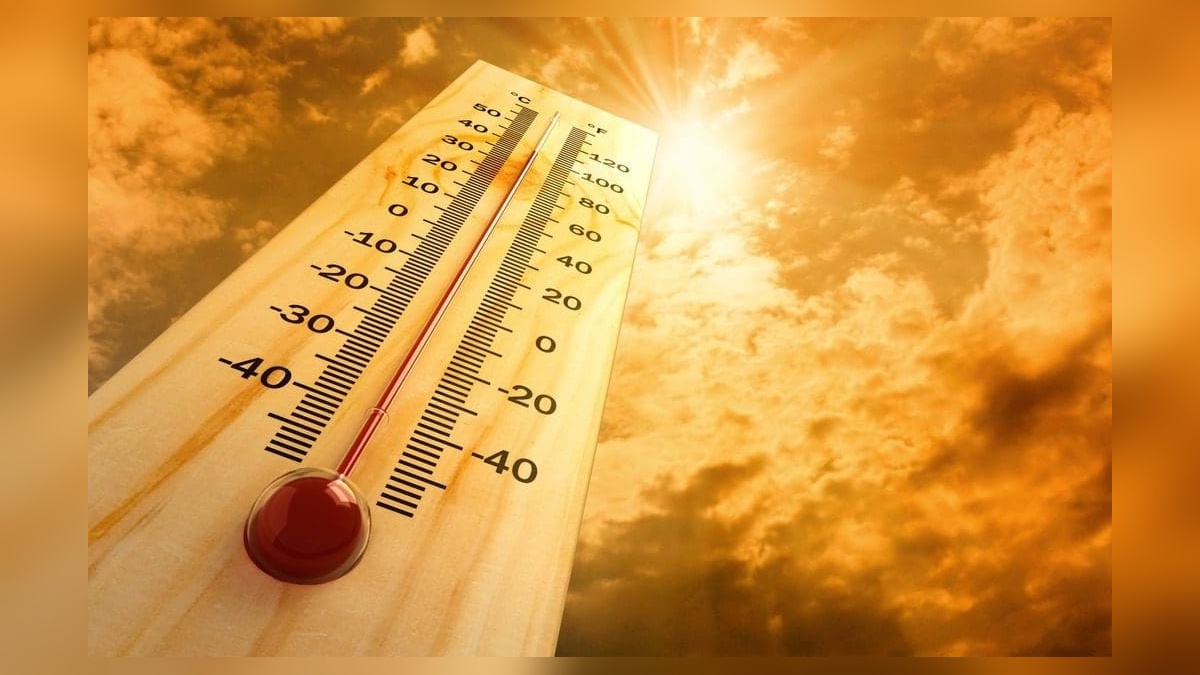 Portekiz'de sıcak hava dalgası: 264 ölü