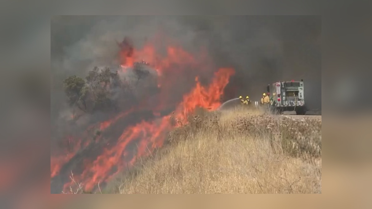 California'da orman yangını: 12 bin hektar kül oldu