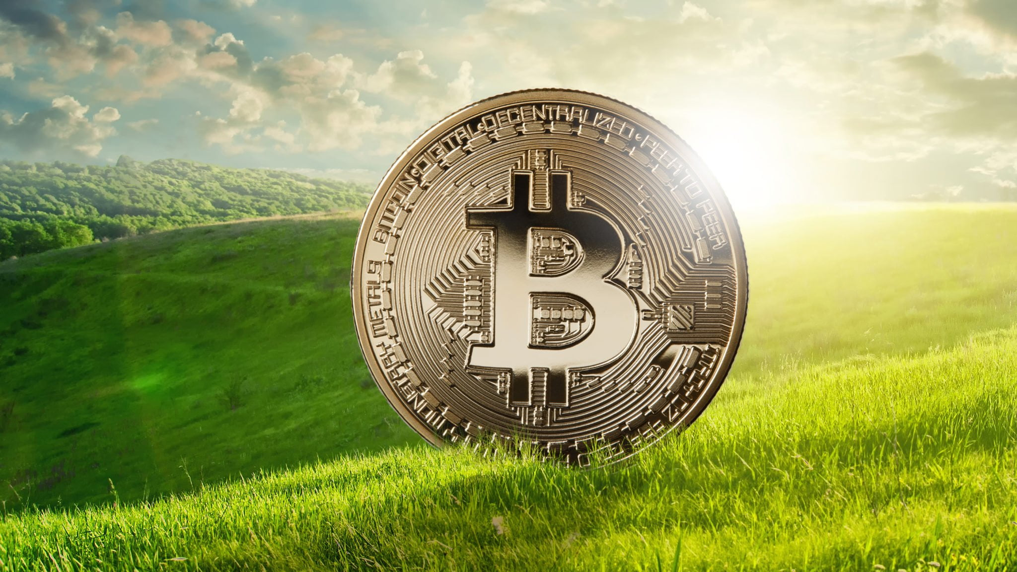 Üzüm Bağı, Daire, Bitcoin Alan Gurbetçi Sosyal Yardımı Faiziyle Geri Ödeyecek