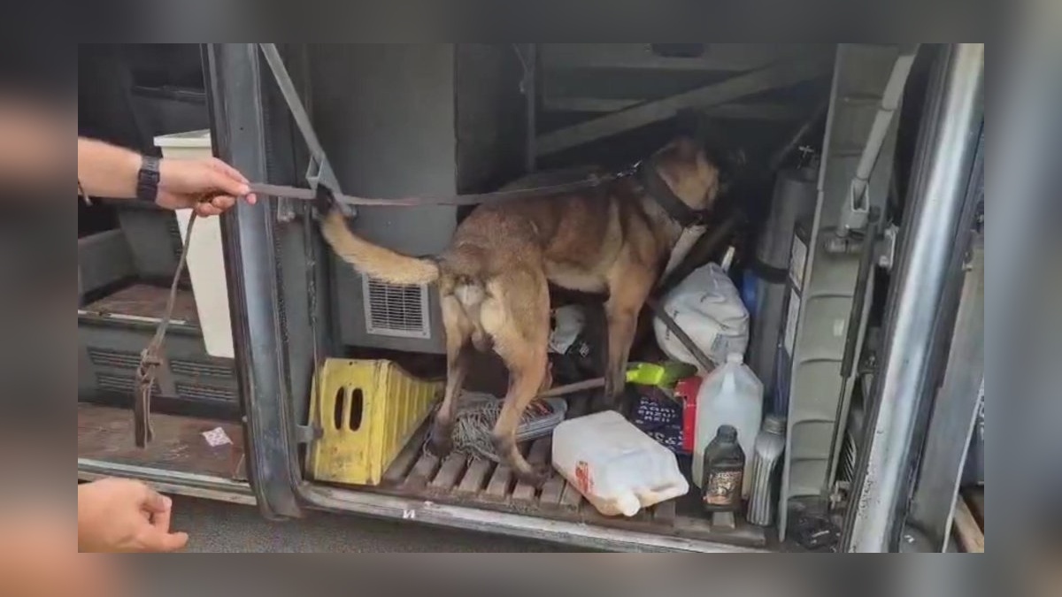 Eskişehir'de otobüste 1 kilo skunk yakalandı: Şüpheli tutuklandı