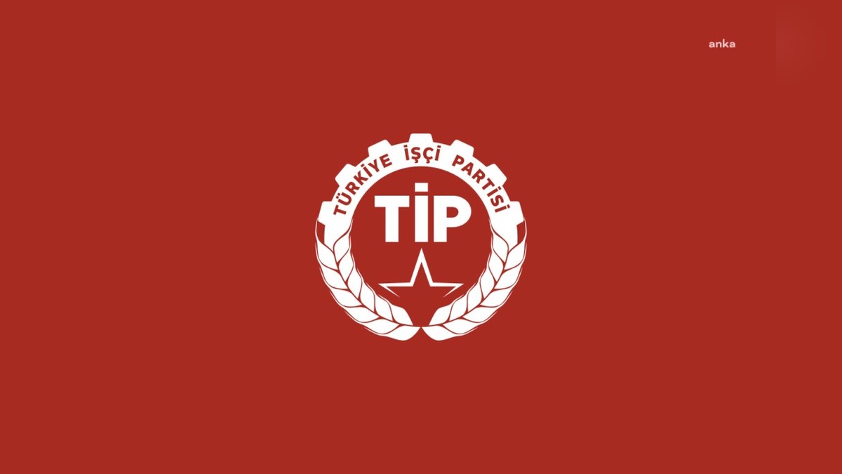 TİP'ten sahte diploma skandalı açıklaması: 'Meclis araştırma komisyonu kurulmalı'