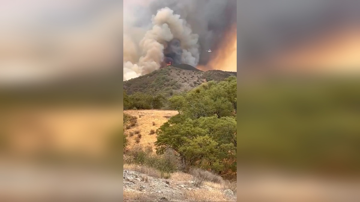 California'da orman yangını sürüyor: Yüzde 9'u kontrol altında