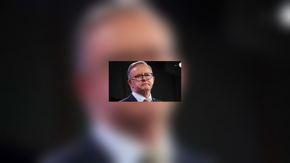 Albanese: Avustralya, Eylül'de BM Genel Kurulu'nda Filistin'i tanıyacak