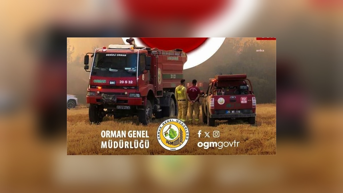 Orman Genel Müdürlüğü: 5 binden fazla orman yangınıyla mücadele edildi