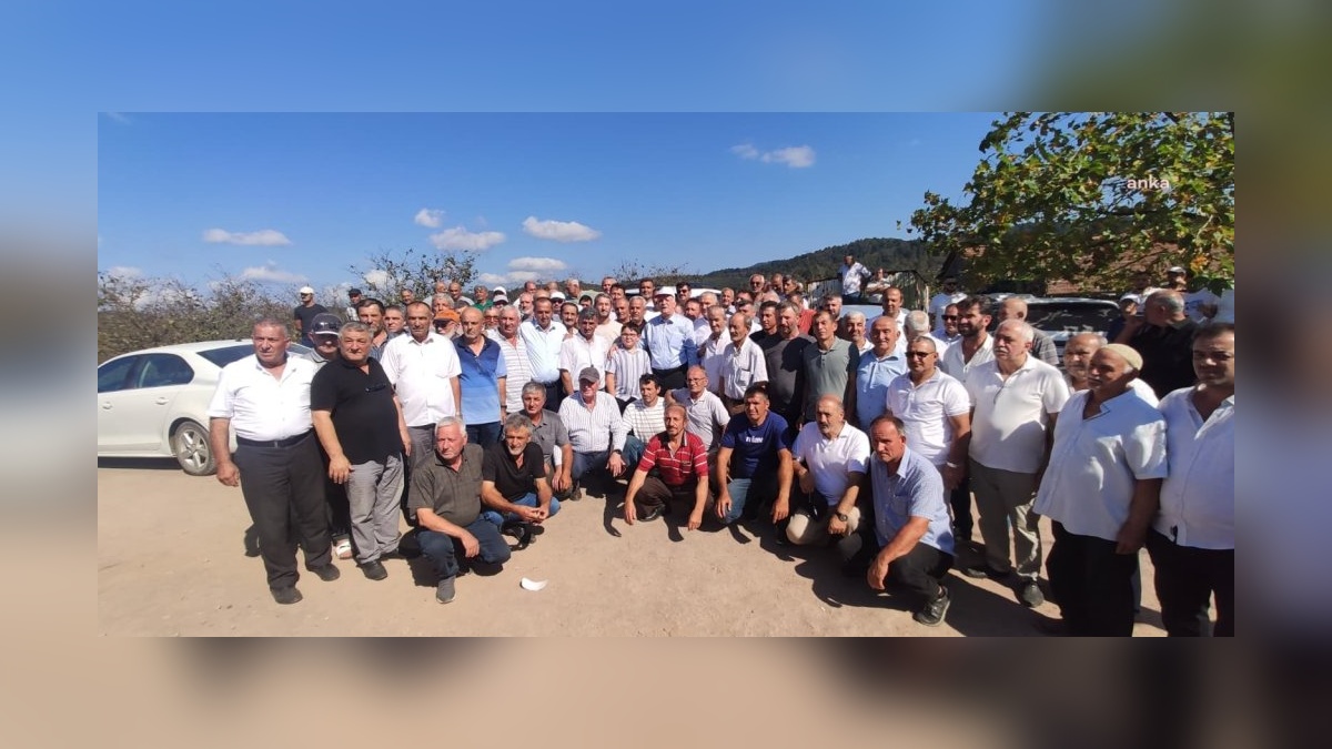 Şemsi Bayraktar: Fındıkta kuraklık vurgunu, üretici fiyatı belirleyecek