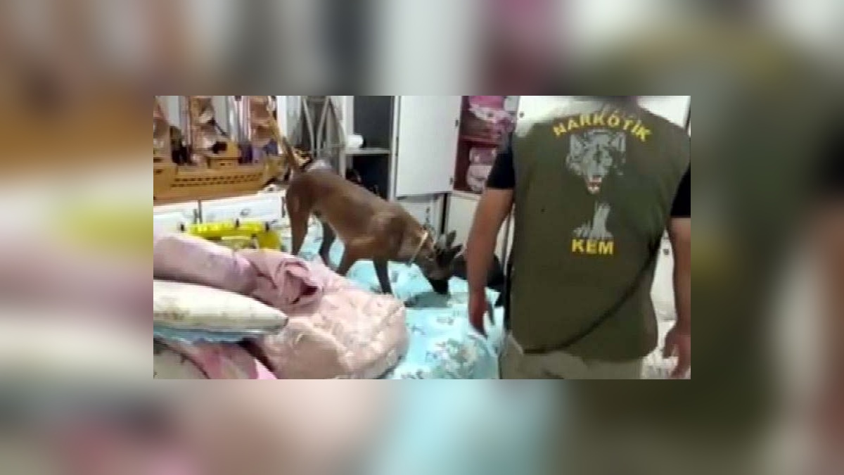 Gaziantep'te uyuşturucu operasyonu: 7 kilo 150 gram skunk ele geçirildi