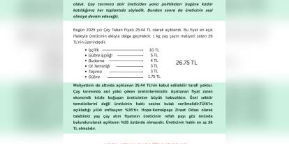 Artvin Çay Üreticileri, 25,44 TL'lik Yaş Çay Fiyatına İsyan Etti