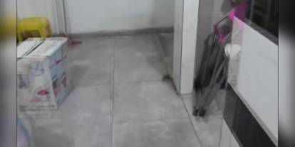 Diyarbakır'da Oyuncakçı Dükkanında Cephanelik Bulundu