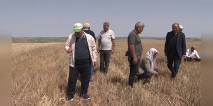 Bayraktar: Kuraklık nedeniyle Diyarbakır, Mardin ve Şanlıurfa'da tarımsal üretimde yüzde 100'e varan kayıp yaşandı