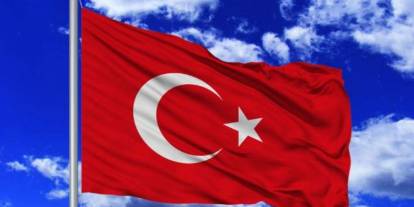 Türk bayrağını yakmaya çalışan vatan hainini Türk kadını böyle engelledi!