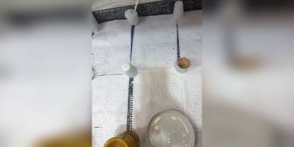 Adana'da cinayet ve intihar: 6 sayfalık mektupta çarpıcı iddialar