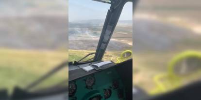 Foça'da orman yangını: Söndürme çalışmaları sürüyor