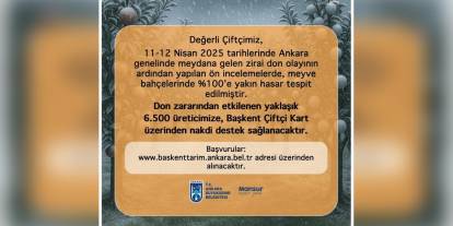 Ankara'da zirai don hasarı: 6 bin 500 çiftçiye destek