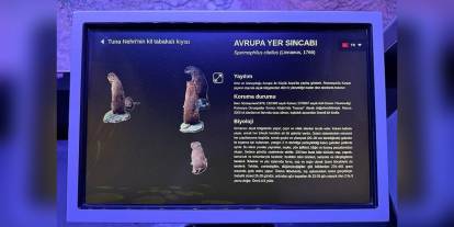 Rehberim Türkçe Projesi: Bükreş'teki Antipa Müzesi'nde Türkçe rehberlik hizmeti başladı