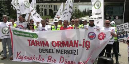 Birleşik Kamu-İş'ten Tarım Politikaları Eleştirisi: 'Üretici Mağdur, Halk Yüksek Fiyatlarda Eziliyor'