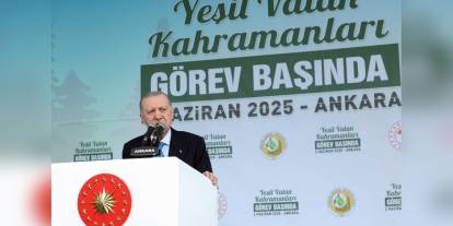 Erdoğan: Orman yangınlarıyla mücadelede Avrupa'da birinci, dünyada ikinciyiz