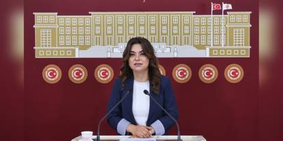 DEM Partili Koçyiğit: Tüm partiler İmralı'ya gitmeli