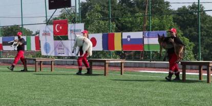 İstanbul'da Dünya Arama Kurtarma Köpekleri Şampiyonası başladı