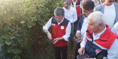 Siirt'te rekor böğürtlen hasadı: 4 ayda 427 ton ihracat