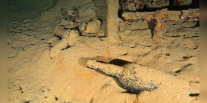 Gelibolu Sualtı Parkı'nda 110 yıllık şarap şişesi bulundu