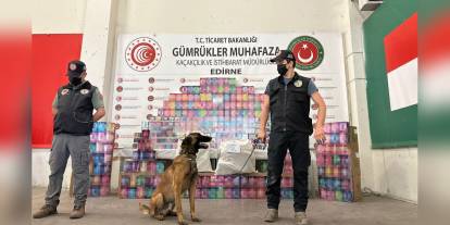 Kapıkule'de büyük operasyon: 29 kilo esrar ve 20 bin elektronik sigara ele geçirildi
