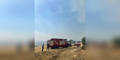 İzmir'de orman yangını: Aliağa'dan Foça'ya yayıldı