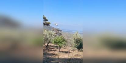 Balıkesir Havran'da orman yangını kontrol altına alındı