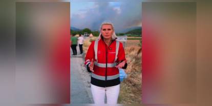 Bilecik'te orman yangını sürüyor: Çok acil hava araçlarına ihtiyaç var