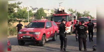 İzmir'de orman yangını: Bir iş yeri ve üç araç kül oldu