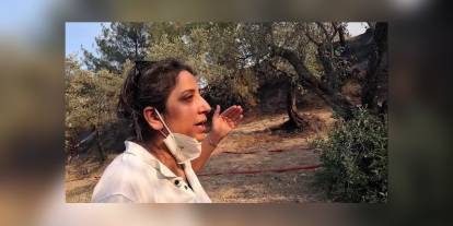 Hatay'da Depremzedelerin Zeytinlikleri Yandı: 'Önce kepçelerle zeytinleri aldılar, şimdi de yanıyor'