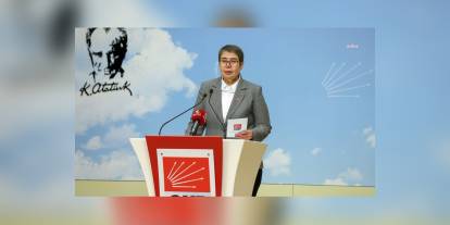 Aksaz Şahbaz: 'Yenidoğan Çetesi', AKP'nin piyasacı sağlık politikalarının sonucu
