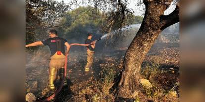 Çeşme'de yangın: Ildır, Germiyan ve Nohutalan mahallelerinde tahliyeler