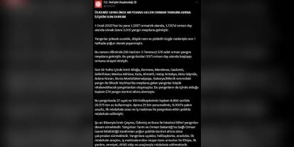 Türkiye'de 576 orman yangını: 29 bin ton su kullanıldı