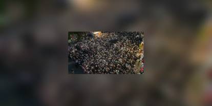 Silivri'de 63'üncü Yoğurt Festivali başladı: Bora Balcıoğlu'ndan yangın ve sosyal belediyecilik mesajı