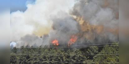 İzmir'de yangın tehditi: Ormana yakın evler boşaltıldı