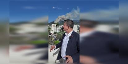 Hatay'da orman yangını: Dörtyol Belediye Başkanı Amaç yardım istedi