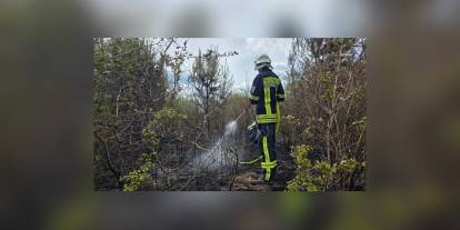 Celle'de büyük yangın: 120 bin metrekare kül oldu